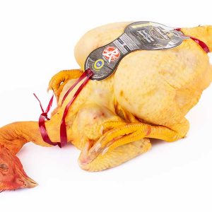 Pollo amarillo campo Canibal